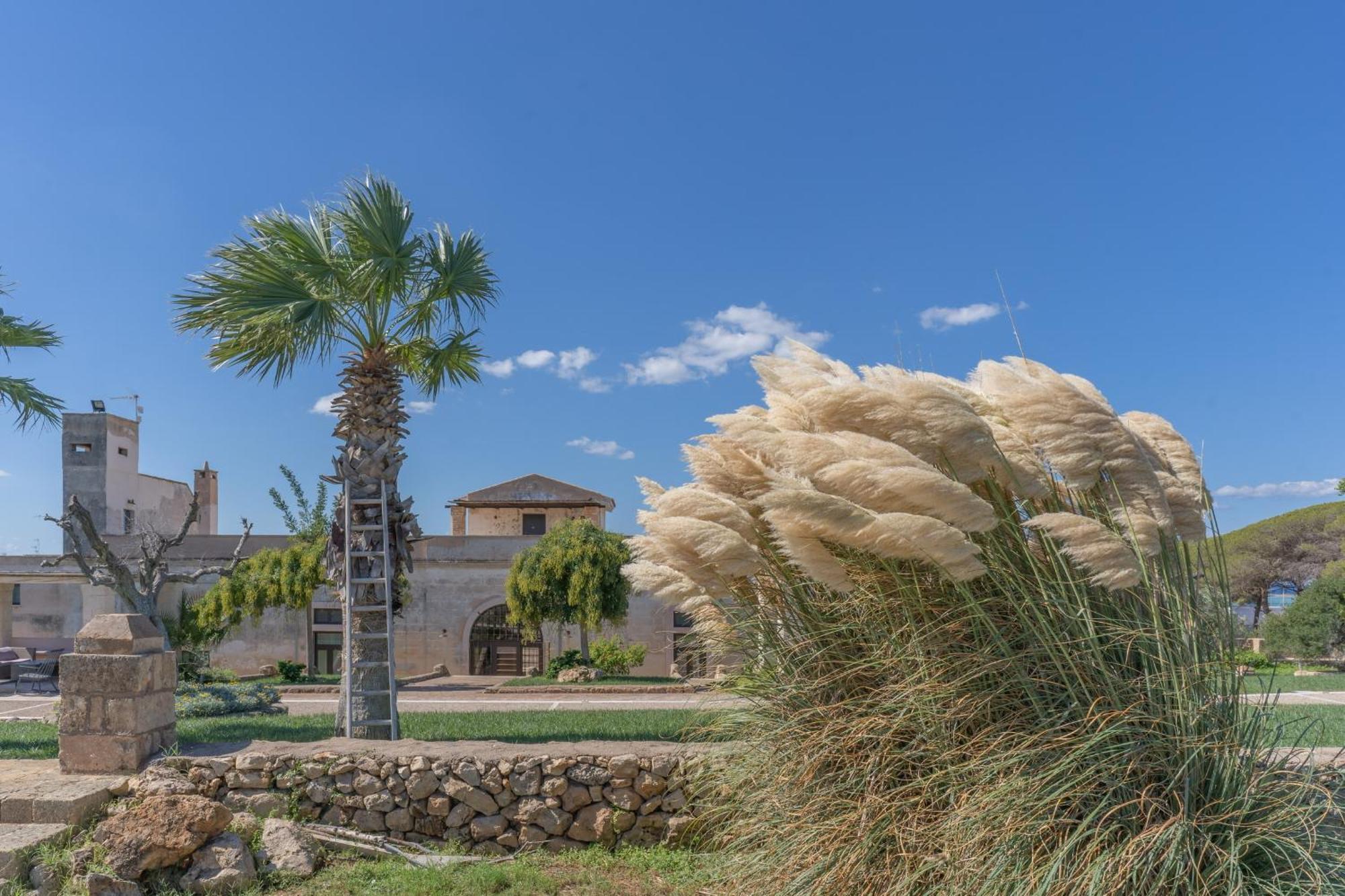 Masseria Casina Bellanova Porto Cesareo Dış mekan fotoğraf